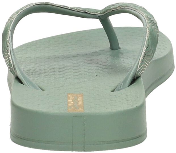 Anatomic Mesh - large