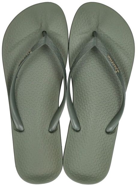 Anatomic Colors - large