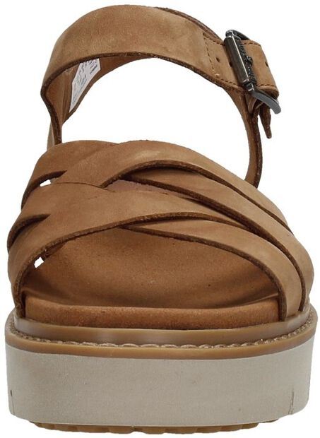 Safari Dawn Multi - large