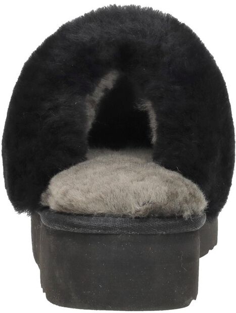 Flurry Plateau - large