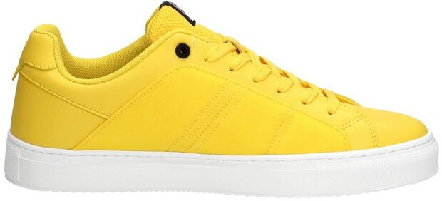 Bradbury Chromatic - large