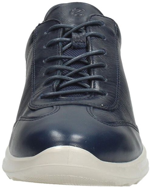 Flexure Runner W - large