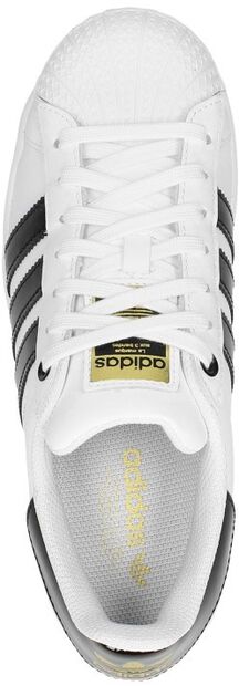 Superstar Bold W - large