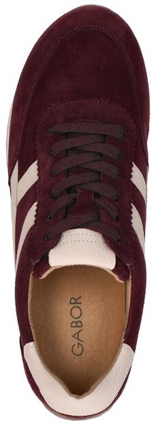 Sneakers Laag - large