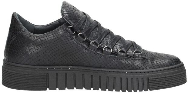 Dames sneakers - large
