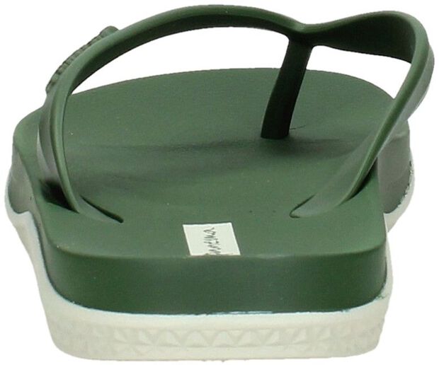 Anatomic Lapa - large