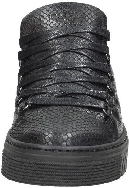Dames sneakers - large