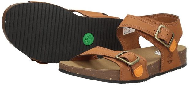 Castle Island 2 Strap - large