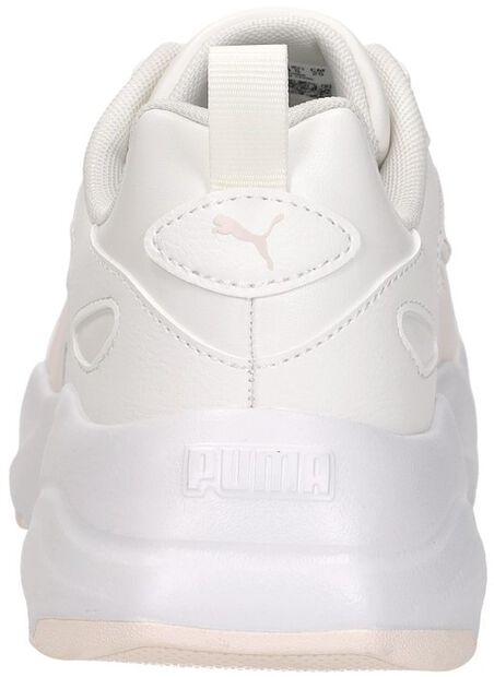 Cassia 2.0 L - large