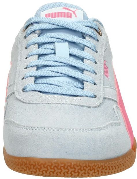 Bella Donna SD - large