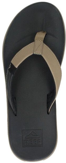 Reef Slammed Rover - large