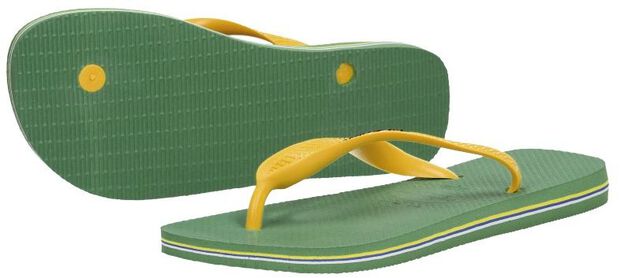 Hav. Brasil logo - large