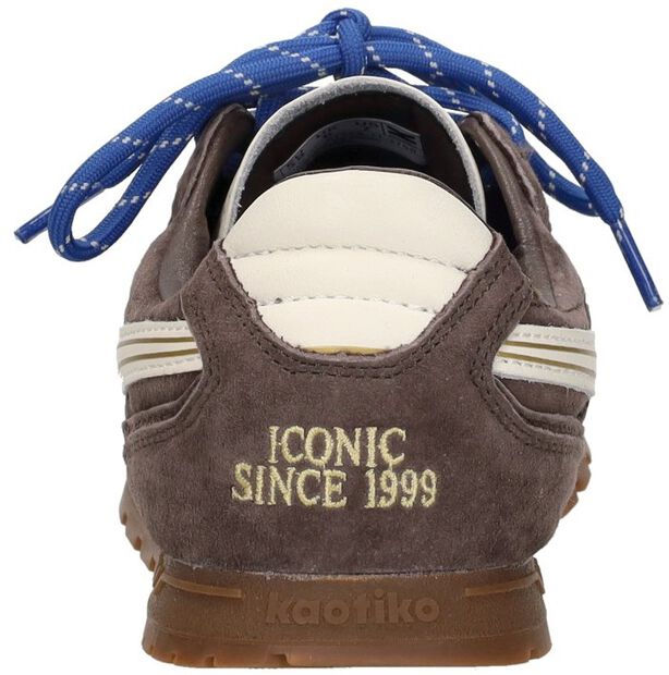 Sneakers Laag - large