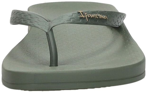 Anatomic Colors - large