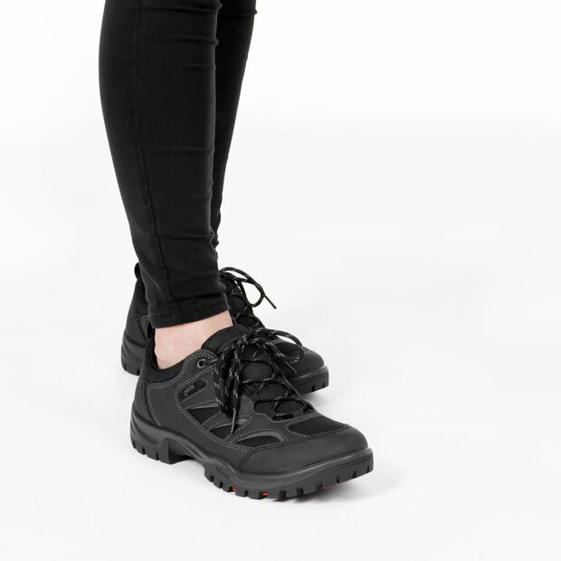 Xpedition III - large