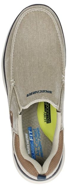 Delson 2.0  Larwin - large