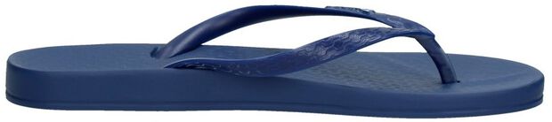 Anatomic Tan Colors - large