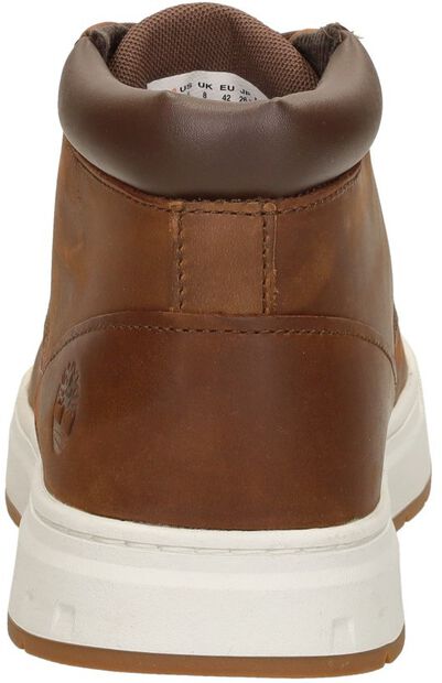 Maple Grove Mid - large