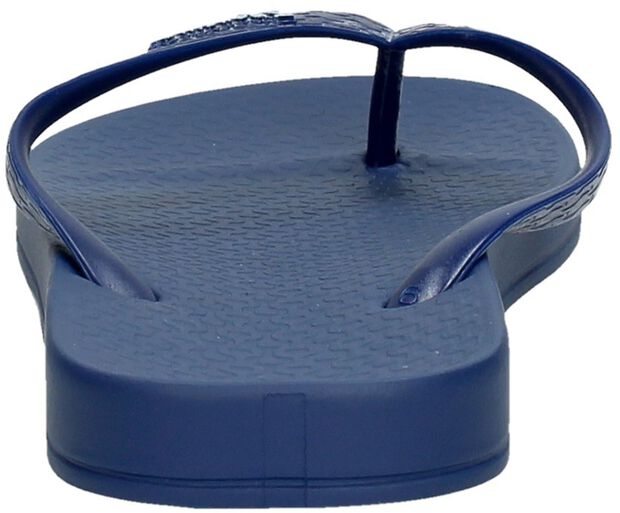 Anatomic Tan Colors - large