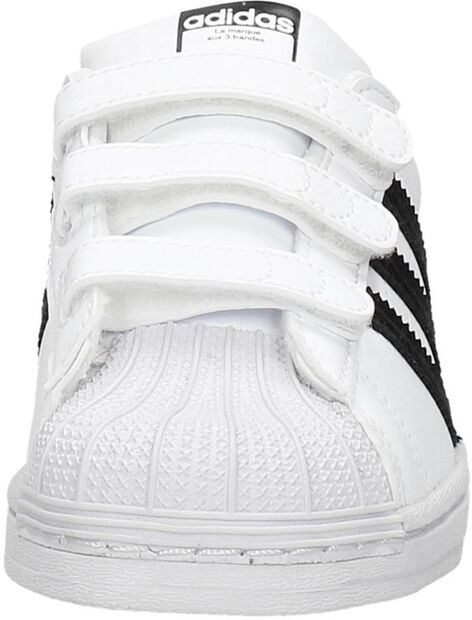 Superstar CF C - large