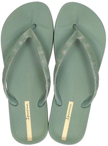 Anatomic Mesh - large