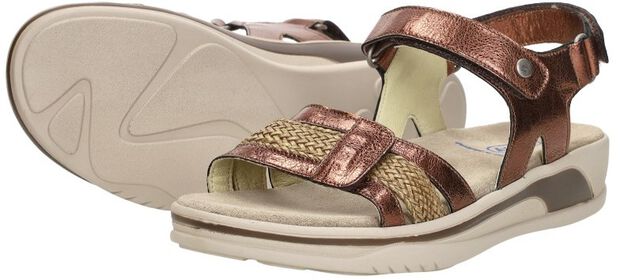 Fantom Elite - large