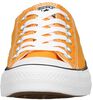 Chuck Taylor All Star Ox - small