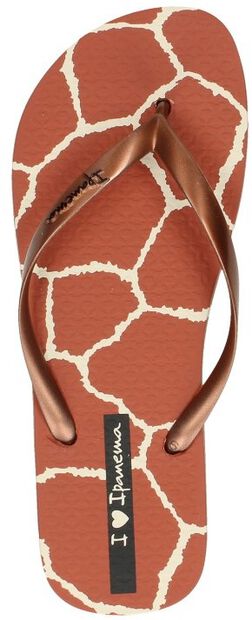 I Love Safari - large