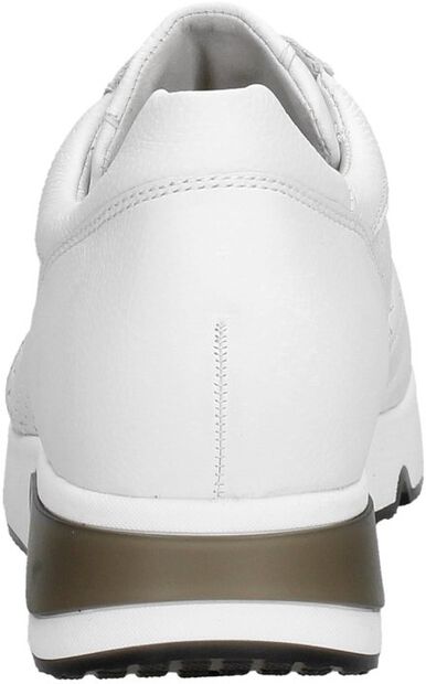 Dames sneakers - large