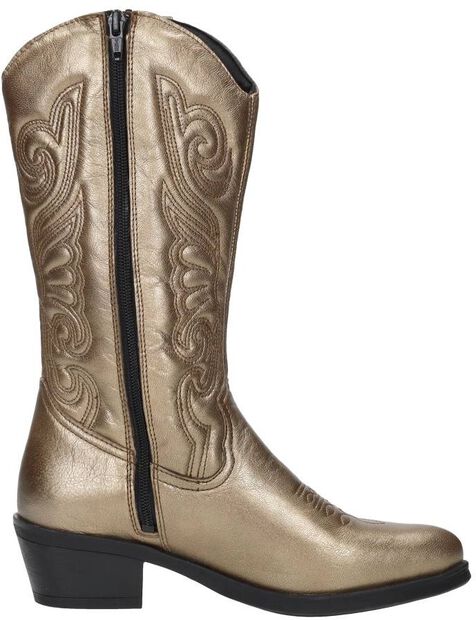 Western boots - large