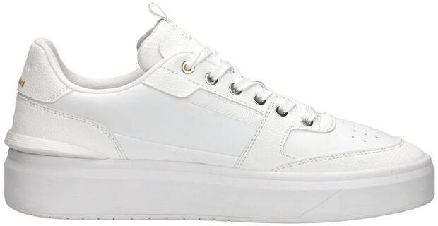 Endorsed Tennis - large