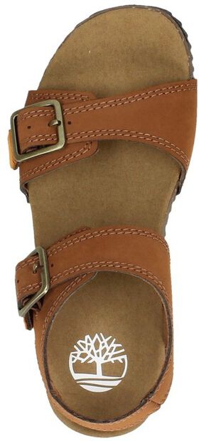 Castle Island 2 Strap - large