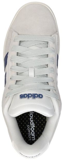 Grand Court Alpha - large