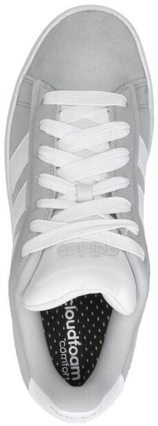 GRAND COURT ALPHA 00s - large