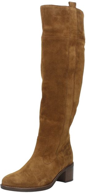 Dames laarzen - large