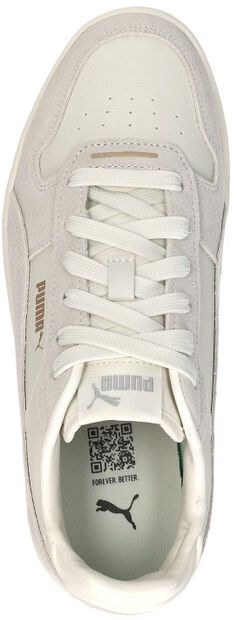 Carina Street SD - large