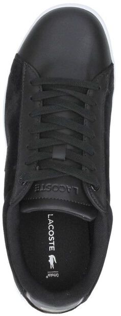 Carnaby evo 318 8 - large