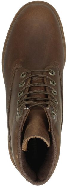 6 Inch Basic Non-contrast WP - large