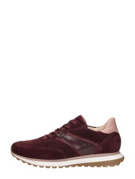 Sneakers Laag
