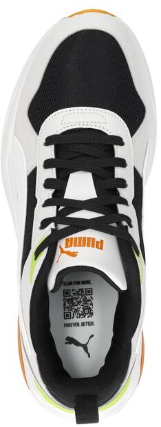 Trinity 2 LT - large