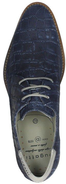 Lanio blauw