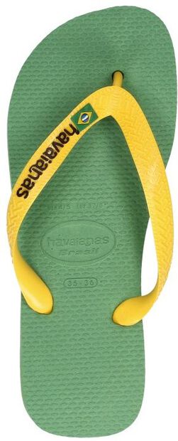 Hav. Brasil Logo - large