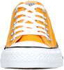 Chuck Taylor All Star Core - small