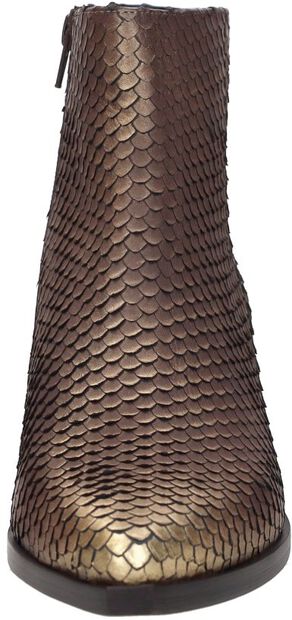 Phoebe - large