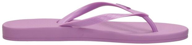 Anatomic Colors - large