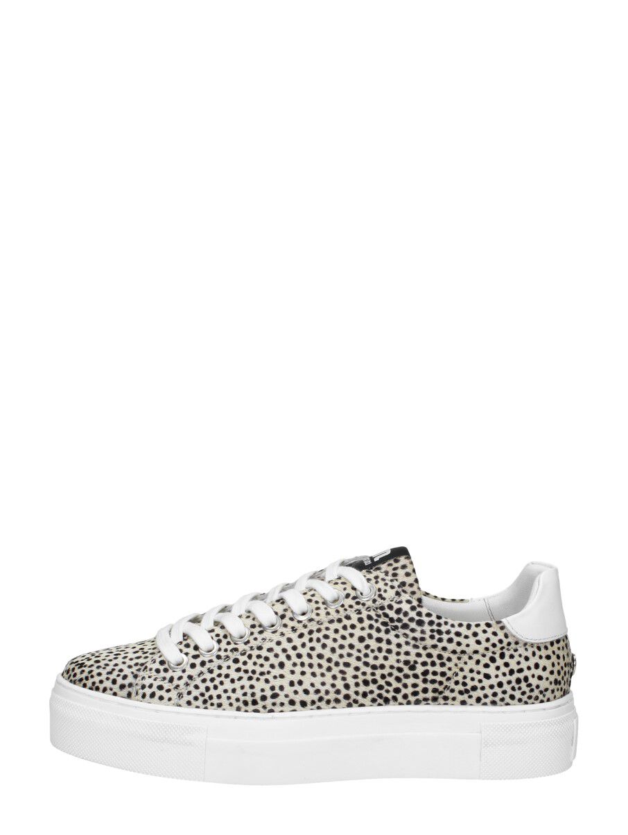 Collectie - Schuurman Schoenen