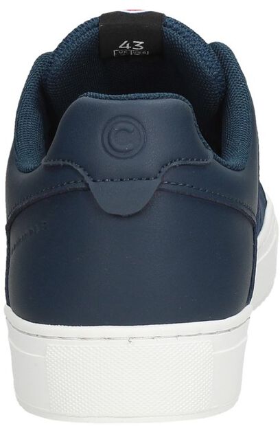 Bradbury Chromatic - large