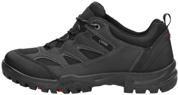 Xpedition III - large