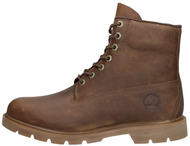 6 Inch Basic Non-contrast WP - large