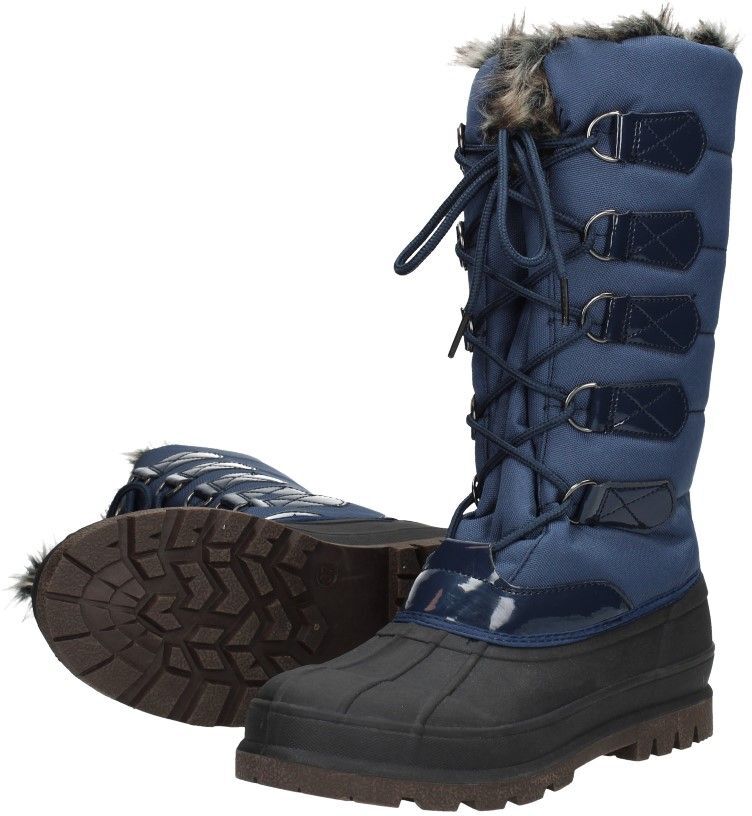 DC Graphix BOA Snow Boots Waterbestendig & Sneeuwlaarzen Schoenen damesschoenen Laarzen Regen 